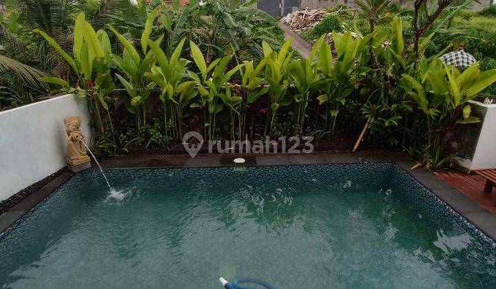 Villa Baru Jadi Siap Huni View Sawah Dan Sungai Lingkungan Nyaman 1