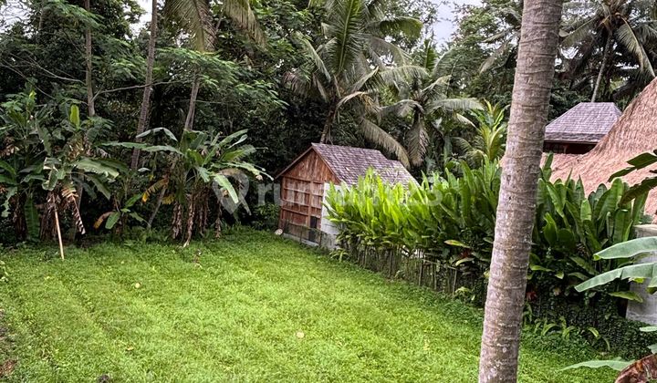 Tanah View Sungai Hutan Jalan Aspal Lingkungan Villa 