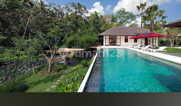 Tanah Bagus View Hutan Sungai Keren Siap Bangun Tanah Bagus View Hutan Sungai Keren Siap Bangun