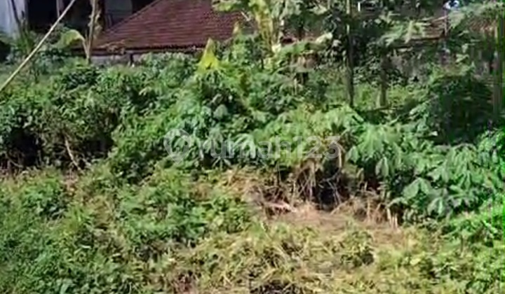 Land Near Central Ubud Cheap Price Ready to Build Villa