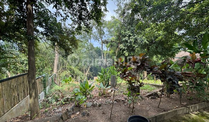 Tanah River View Cantik Di Canggu Zona Kuning Siap Bangun