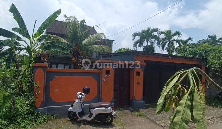 Villa 4 Kamar Harga Murah Di Ubud Siap Huni  1