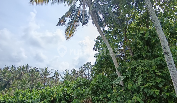Tanah Super View Hutan Sawah Sungai Zona Kuning 