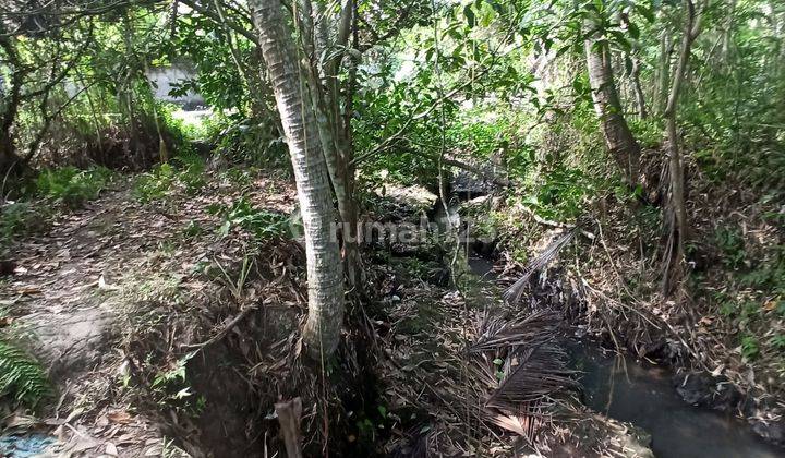 Tanah Sewa View Sungai Hutan Sawah Keren Cocok Vila  2
