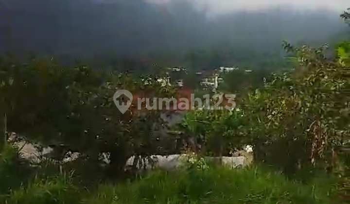 Tanah Cocok Villa Pribadi Di Bedugul Udara Dingin Tanah Cocok Villa Pribadi Di Bedugul Udara Dingin