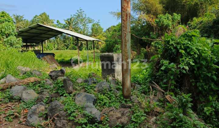 Tanah View Gunung Agung Harga Murah Cocok Investasi Tanah View Gunung Agung Harga Murah Cocok Investasi