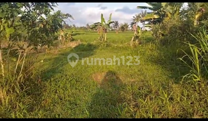Cheap Land Lease Sayan Ubud Rice Field View Villa Ready to Build.