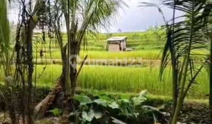 Dijual Tanah Tampak Siring View Hutan dan Sawah