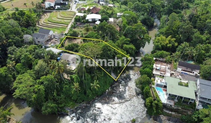 Tanah Dekat Pantai View Hutan Sungai Harga Murah Tanah Dekat Pantai View Hutan Sungai Harga Murah