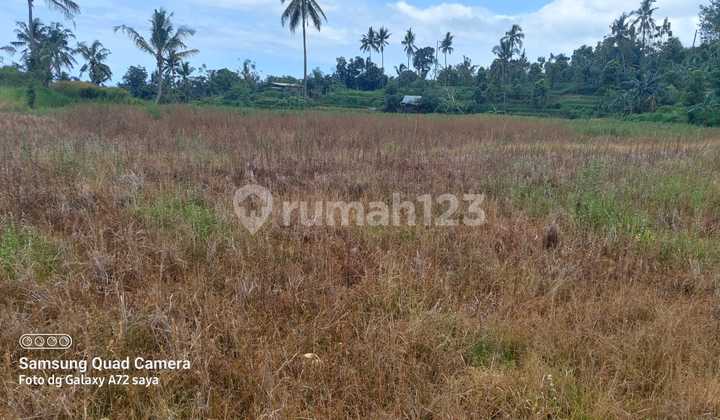 Tanah Untuk Investasi Harga Murah View Bagusv 2