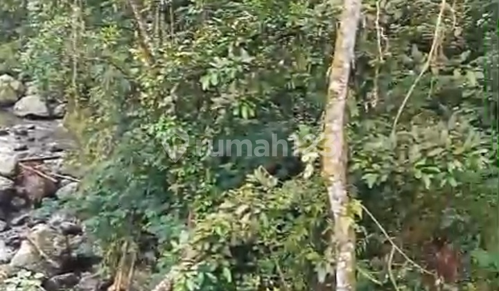 Tanah Pinggir Jalan Utama Cocok Vila Resto Cafe View Sungai Abadi 2