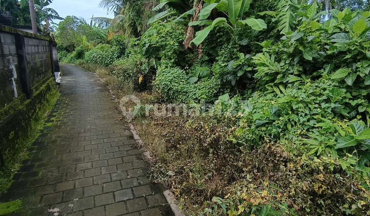 Land Lease in Yellow Zone at Affordable Price in a Quiet Location