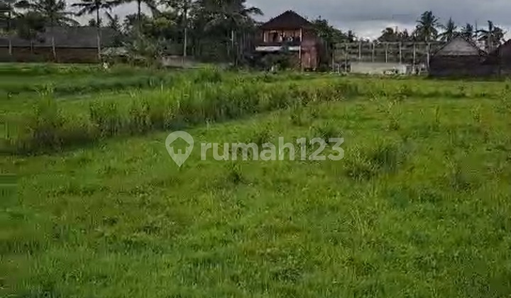 Tanah Murah View Sawah Lingkungan Resort Mewaht