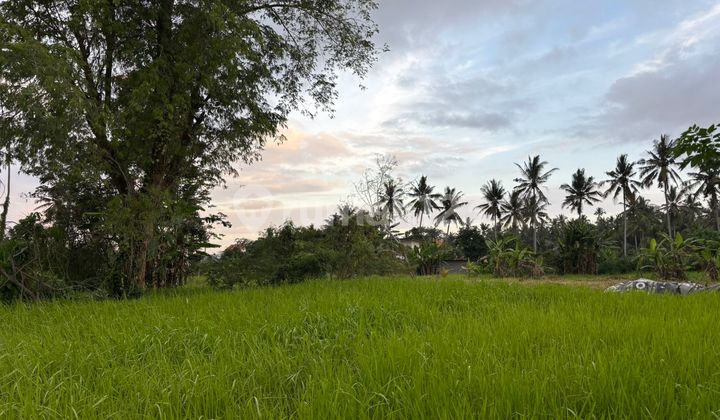 Good Land in Lodtunduh Ubud for Investment Good Land in Lodtunduh Ubud for Investment