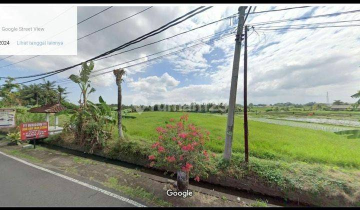 FOR RENT LAND CANGGU AREA TANAH LOT NEXT TO THE MAIN ROAD 1