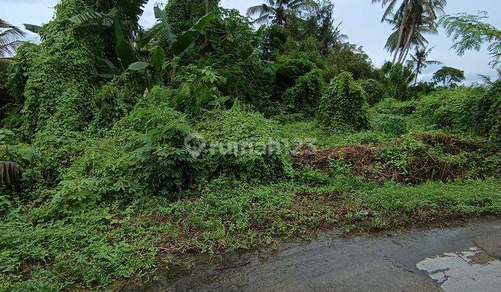 Tanah Siap Bangun Rumah Pribadi Di Keramas Harga Murah  1