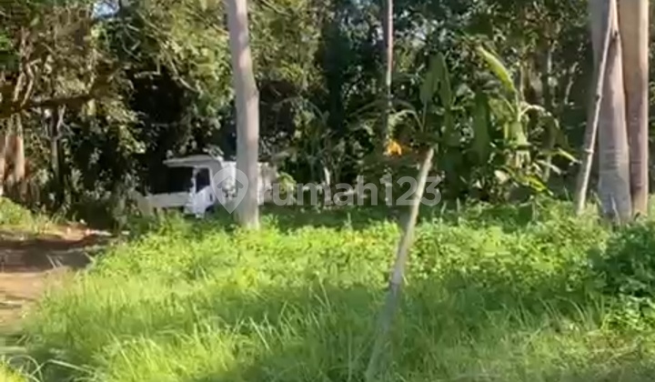 Land Plot Lease Mas Ubud View River Forest From 2-20 Are Land Plot Lease Mas Ubud View River Forest From 2-20 Are