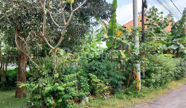 Tanah Untuk Vila Rental Lokasi Bagus Siap Bangun 