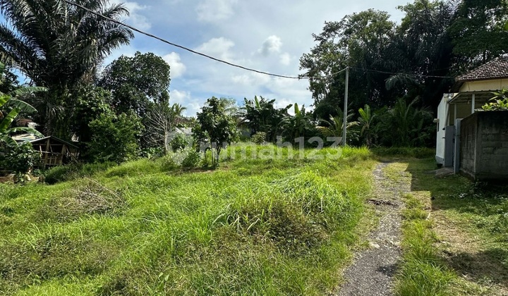 Tanah Zona Kuning Harga Murah Cocok Vila Pribadi 