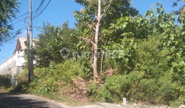 Jual Tanah Premium Lokasi Bingin Uluwatu Spesial Jual Tanah Premium Lokasi Bingin Uluwatu Spesial