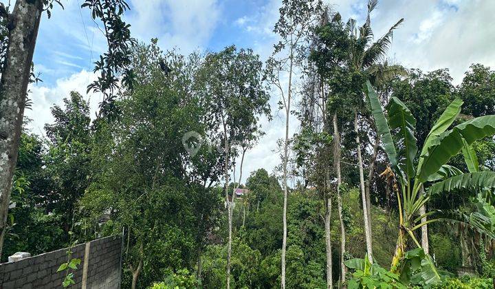 Tanah Sewa Zona Kuning Ukuran Kecil View Hutan Lingkungan Villa  1