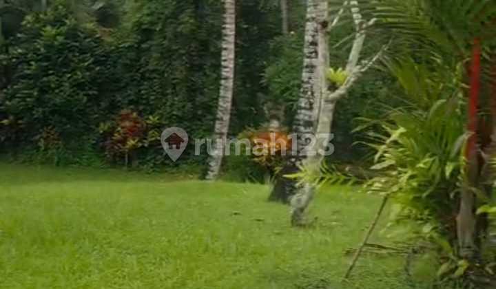 For Sale Land with Bonus Villa in Bedulu Ubud