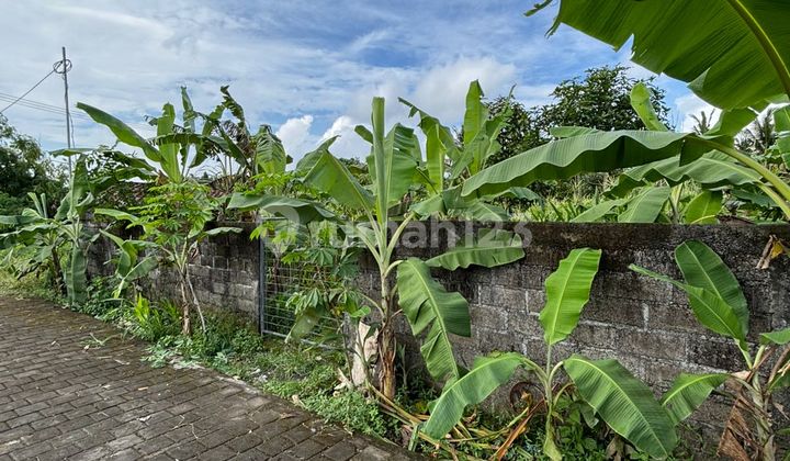 Tanah Murah Central Ubud View Sawah Cocok Vila Rentals