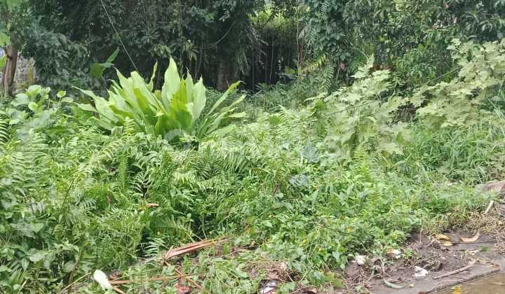 Tanah Siap Bangun Villa Zona Perumahan Harga Murah 