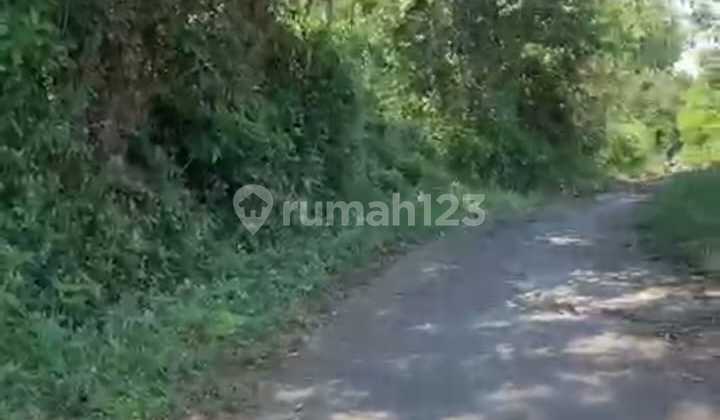 Dijual Tanah Luas Di Singaraja Kubutambahan