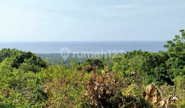 Cheap Sea View Suitable for Investment Car Access Road