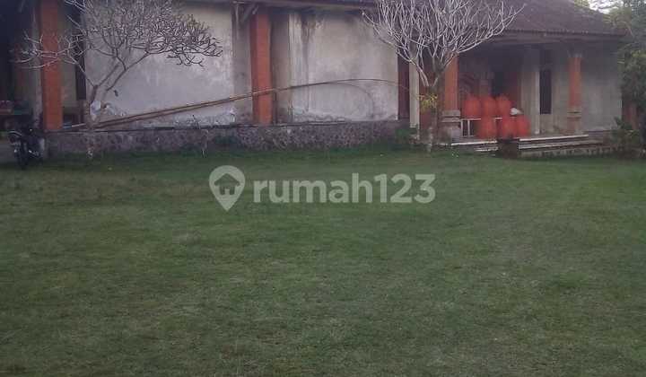 Tanah Bonus Bangunan Jalan Raya Tampak Siring Cocok Vila Hotel Tanah Bonus Bangunan Jalan Raya Tampak Siring Cocok Vila Hotel