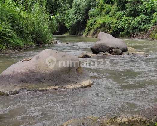 Tanah Los Sungai Wos Ubud Super Murah Cocok Resort Villa Hotel 