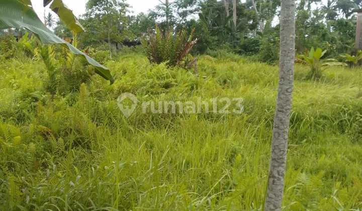 Dijual Tanah Area Pejeng Ubud Lingkungan Villa