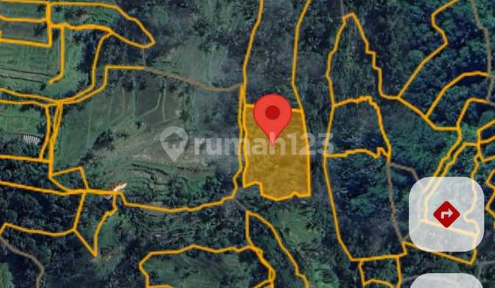 Land for Rent at Tegalalang Ubud, near Petanu River.