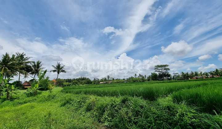 Tanah View Sawah Zona Kuning Siap Bangun Villa Rental 