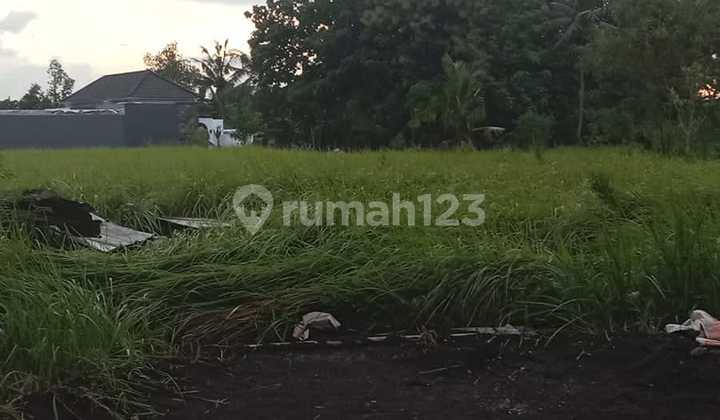 Tanah Termurah Di Lodtuduh Ubud Siap Bangun Villa