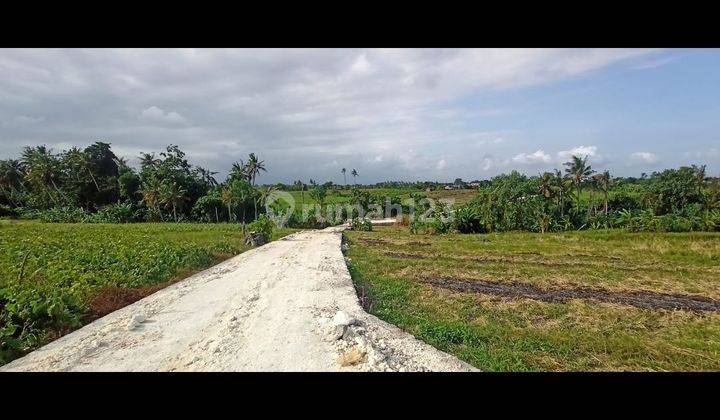 TANAH UKURAN KECIL DI MUNGGU PERERENAN DEKAT PANTAI LIMA 2