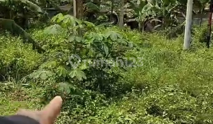 Tanah Zona Kuning Siap Bangun Vila Rental Ubud