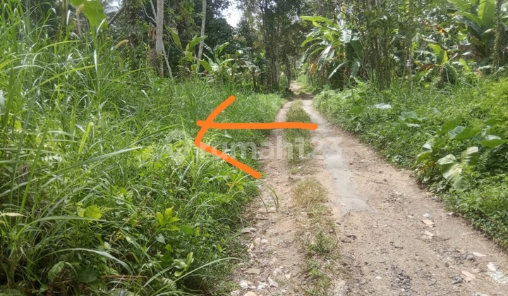 Tanah Murah Tampaksiring View Hutan Lembah Sungai Keren