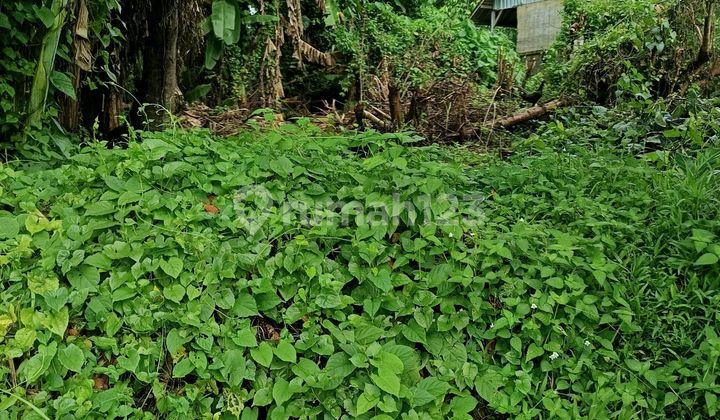 Cheap Land in Zonakuning Ready to Build Private Villa Cheap Land in Zonakuning Ready to Build Private Villa