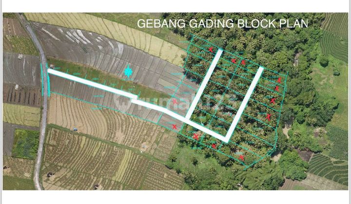 Tanah View Keren Dekat Pantao Cocok Villa Pribadi