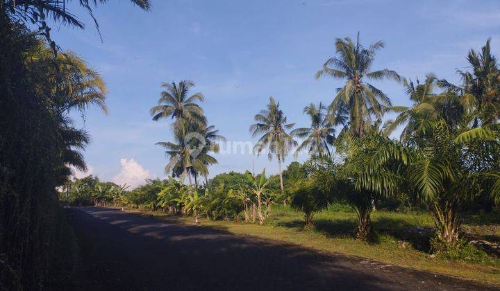 TANAH ZONA KUNING VIEW SUNGAI DAN SAWAH ABADI 