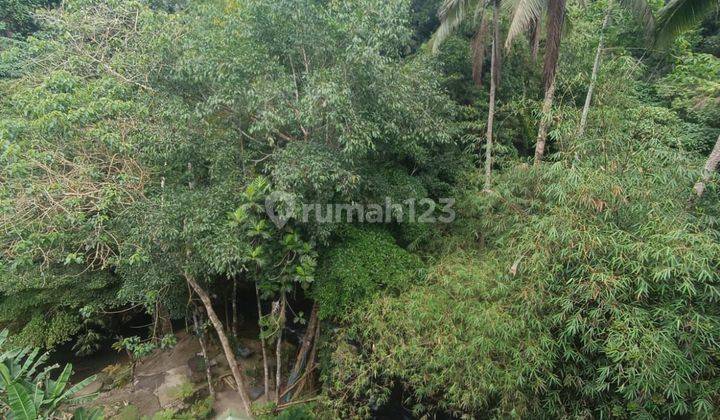 COOL LOS SUNGAI LAND SUITABLE FOR RESTAURANT OR VILLA 2