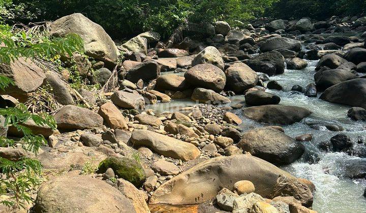 TANAH LOS SUNGAI DAN AIR PANAS ALAMI VIEW GUNUNG SAWAH 2