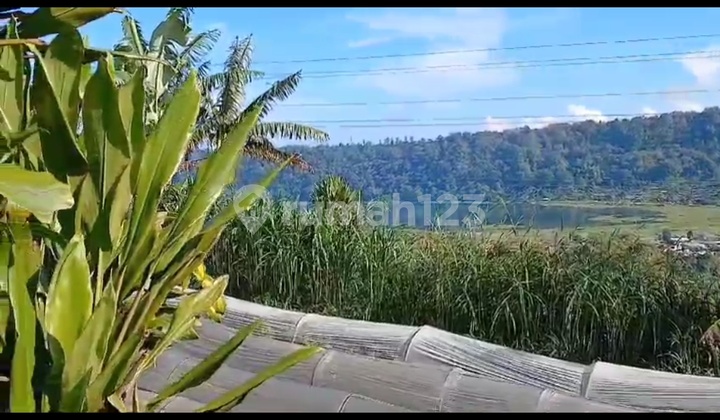 Tanah View Danau Buyan Cantik Cocok Bisnis Villa 1