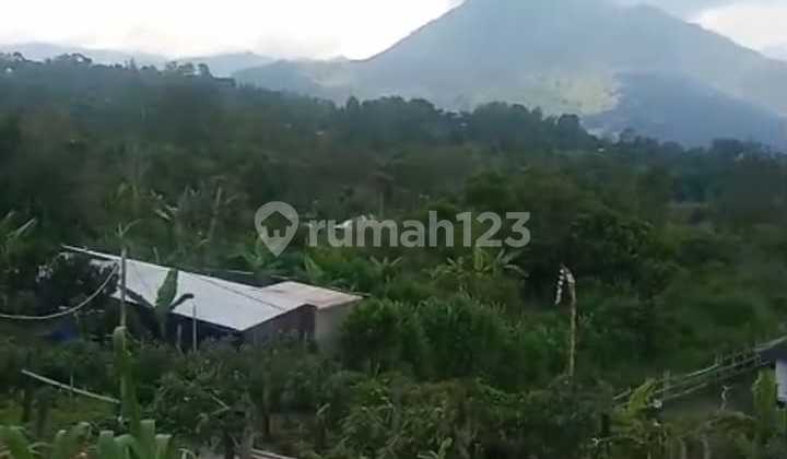 Dijual Tanah Luas Area Kintamani Jalan Mobil