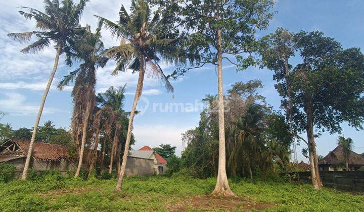 TANAH ZONA KUNING SIAP BANGUN HARGA MURAH DEKAT CENTRAL UBUD 2