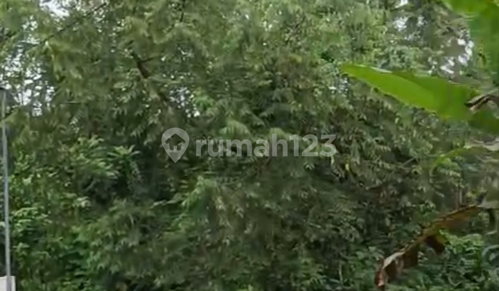 Tanah View Hutan Cocok Vila Rental Harga Murah