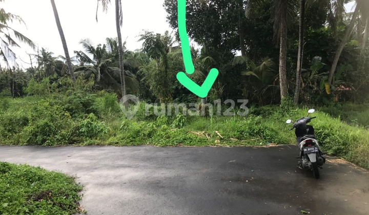 Land For Private Villa Super Beautiful View Good Road