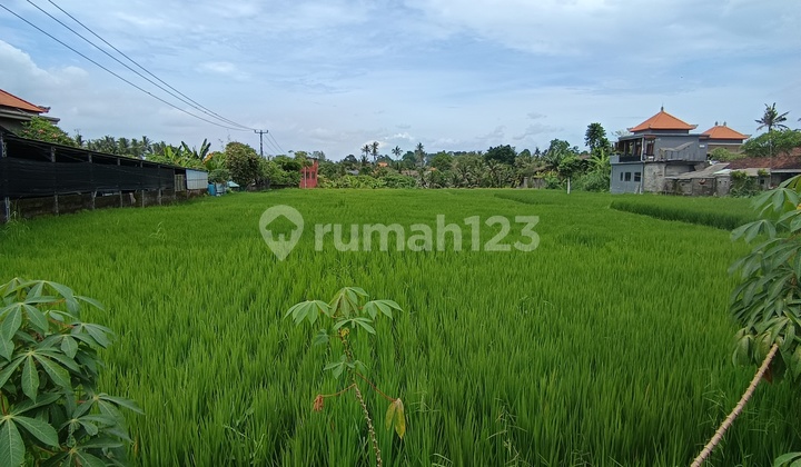 Land for Rent Near Central Ubud with Beautiful Rice Field View Land for Rent Near Central Ubud with Beautiful Rice Field View